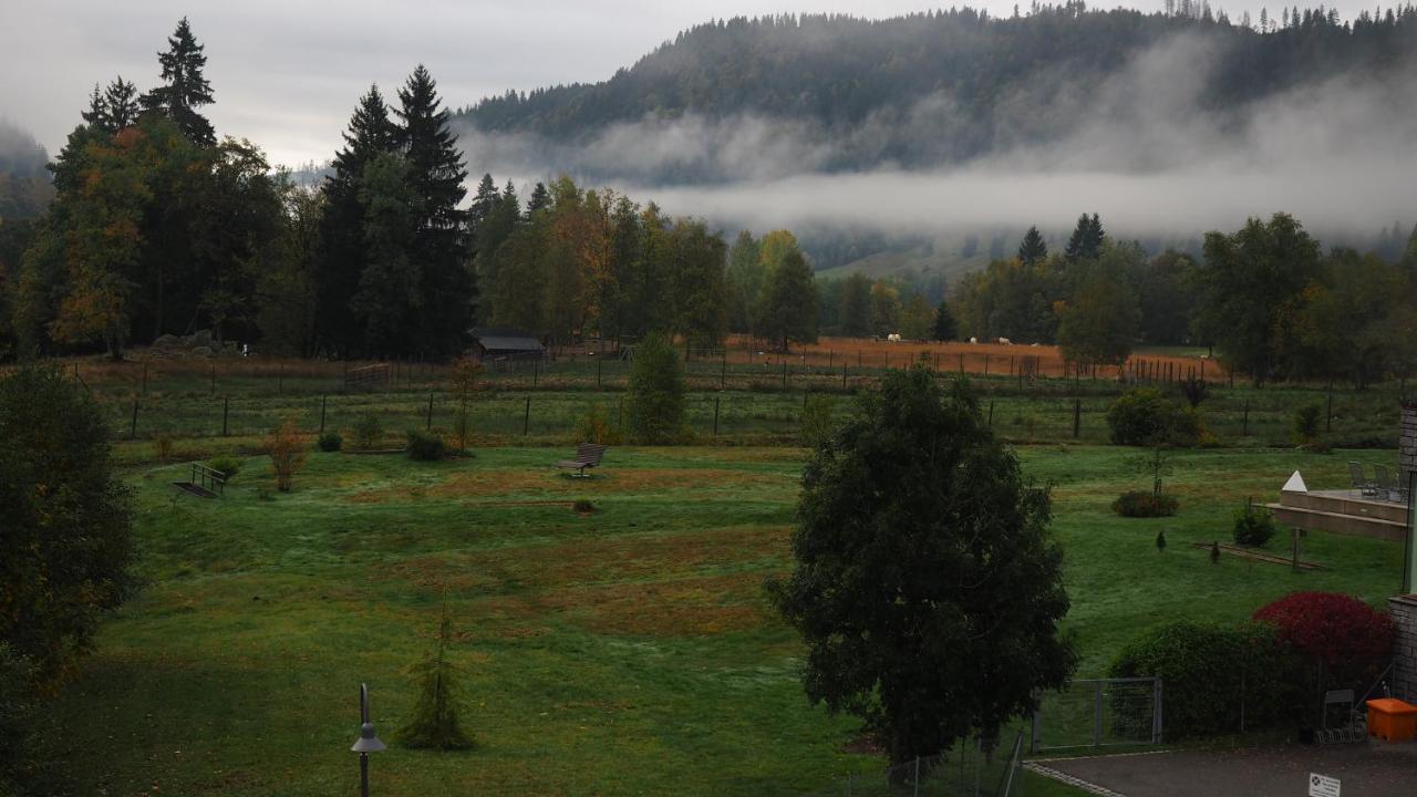 C2 Albmatte-Fewo , Hallenbad Aussenbecken Massagen Nebenan سانت بلاسين المظهر الخارجي الصورة