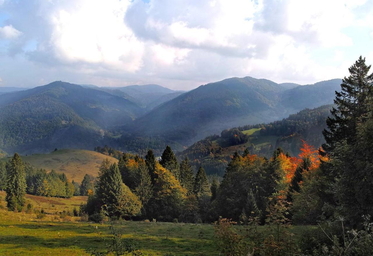 C2 Albmatte-Fewo , Hallenbad Aussenbecken Massagen Nebenan سانت بلاسين المظهر الخارجي الصورة