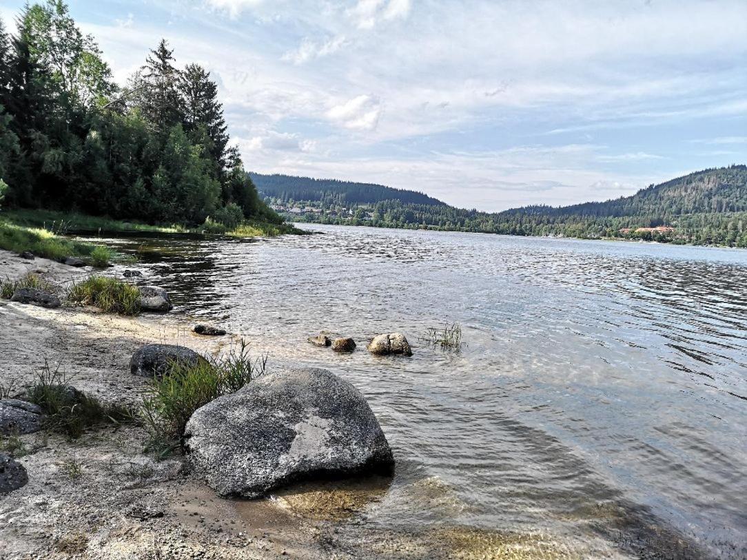 C2 Albmatte-Fewo , Hallenbad Aussenbecken Massagen Nebenan سانت بلاسين المظهر الخارجي الصورة