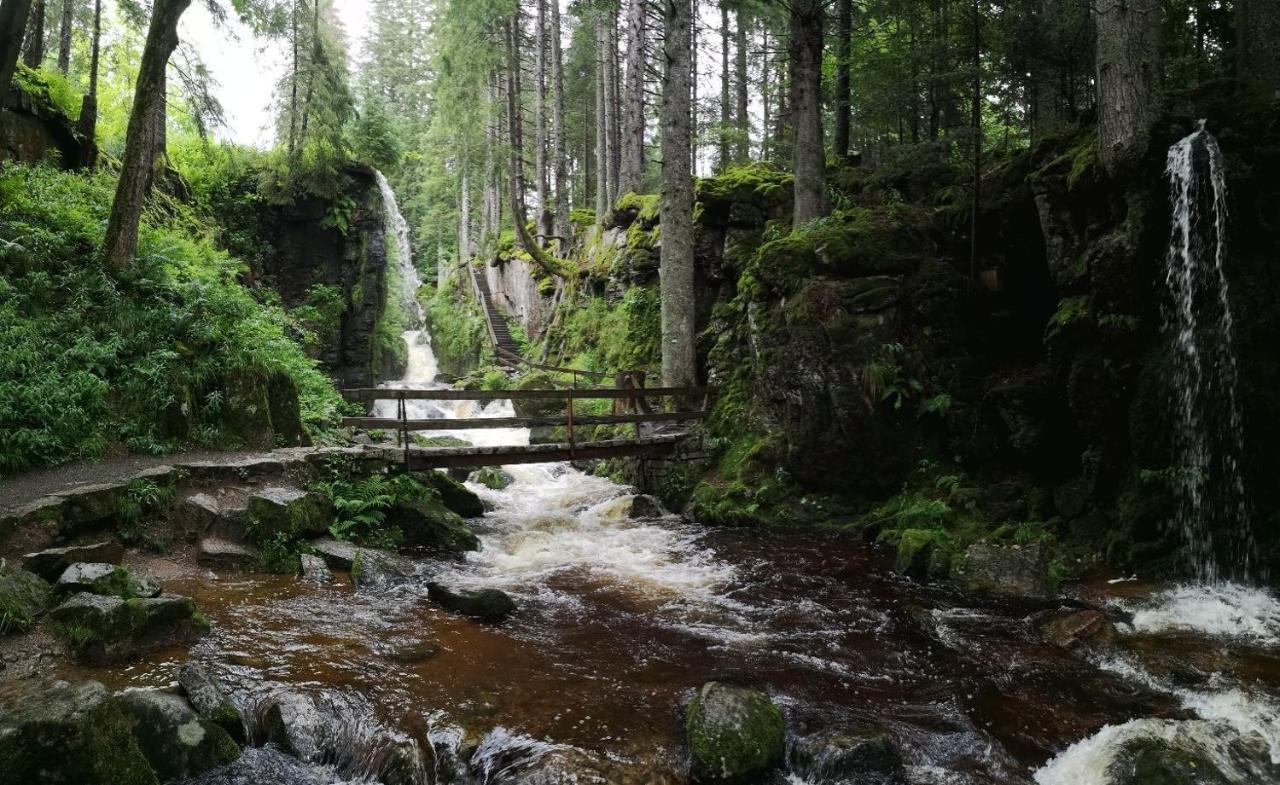 C2 Albmatte-Fewo , Hallenbad Aussenbecken Massagen Nebenan سانت بلاسين المظهر الخارجي الصورة