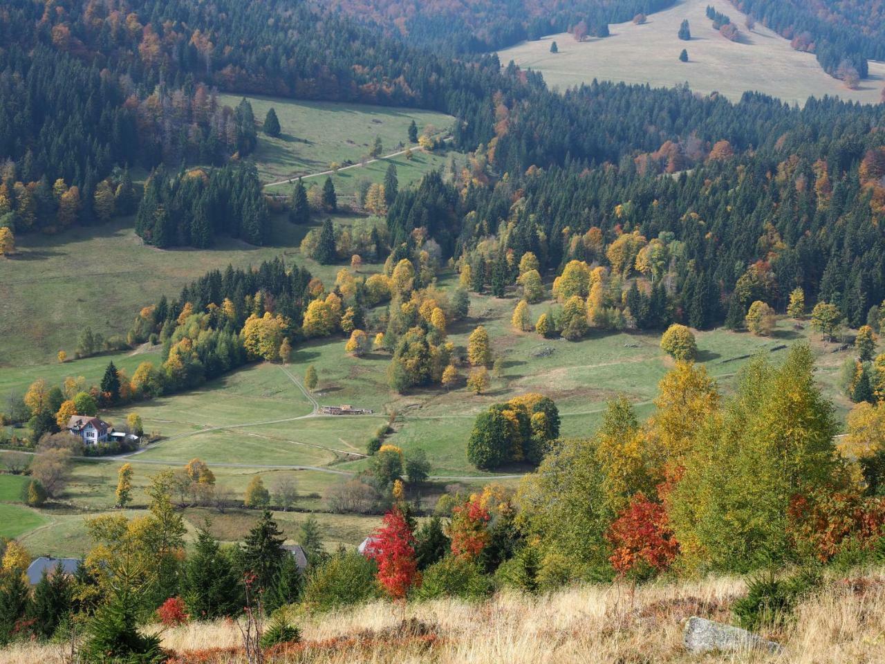 C2 Albmatte-Fewo , Hallenbad Aussenbecken Massagen Nebenan سانت بلاسين المظهر الخارجي الصورة