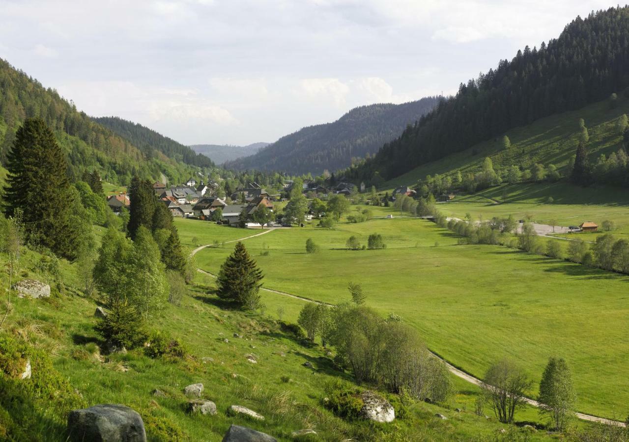 C2 Albmatte-Fewo , Hallenbad Aussenbecken Massagen Nebenan سانت بلاسين المظهر الخارجي الصورة