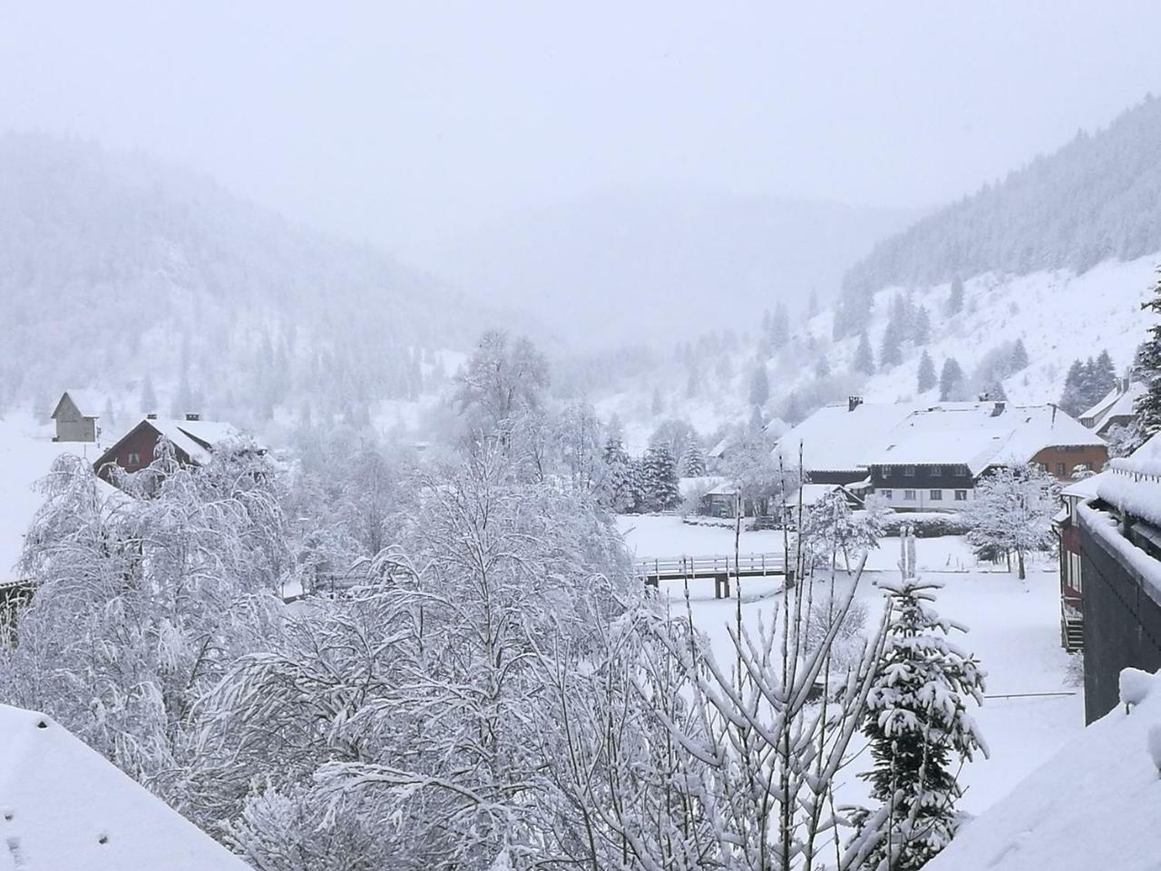 C2 Albmatte-Fewo , Hallenbad Aussenbecken Massagen Nebenan سانت بلاسين المظهر الخارجي الصورة