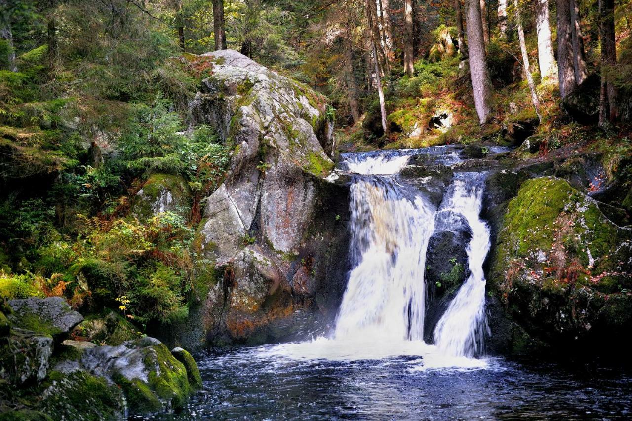 C2 Albmatte-Fewo , Hallenbad Aussenbecken Massagen Nebenan سانت بلاسين المظهر الخارجي الصورة