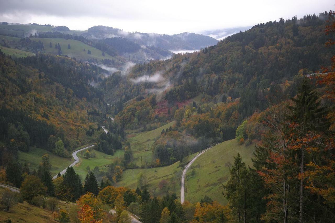 C2 Albmatte-Fewo , Hallenbad Aussenbecken Massagen Nebenan سانت بلاسين المظهر الخارجي الصورة